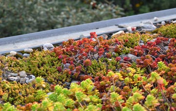the cost of Seton green roof installation