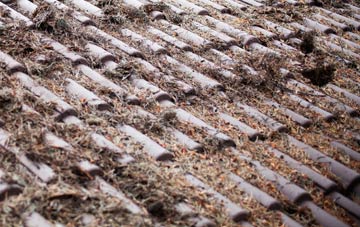 Seton roof cleaning companies