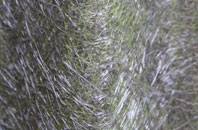 Seton fibreglass roof work